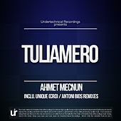 Thumbnail for the Ahmet Mecnun - Tuliamero link, provided by host site