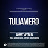 Thumbnail for the Ahmet Mecnun - Tuliamero link, provided by host site