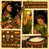 Thumbnail for the Cloudchord - Tulips link, provided by host site