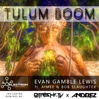 Thumbnail for the Evan Gamble Lewis - Tulum Boom (DJ Trashy Remix) link, provided by host site