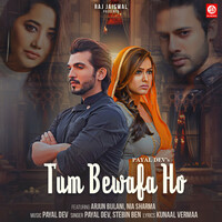 Thumbnail for the Payal Dev - Tum Bewafa Ho link, provided by host site