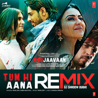 Thumbnail for the Payal Dev - Tum Hi Aana Remix link, provided by host site