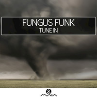 Thumbnail for the Fungus Funk - Tune In link, provided by host site