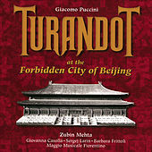 Thumbnail for the Zubin Mehta - Turandot/Act One/Indietro, cani! link, provided by host site