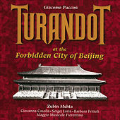 Thumbnail for the Zubin Mehta - Turandot/Act Two/Scene Two/Introduzione link, provided by host site