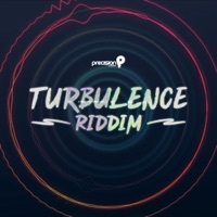 Thumbnail for the Precision Productions - Turbulence Riddim link, provided by host site