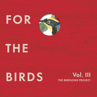 Thumbnail for the Alice Coltrane - Turiya (For the Birds Remix) link, provided by host site