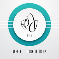 Thumbnail for the Aney F - Turn It On link, provided by host site