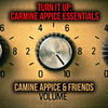 Thumbnail for the Carmine Appice - Turn It Up: Carmine Appice Essentials link, provided by host site
