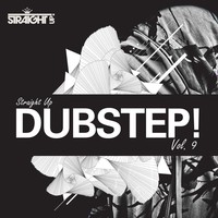 Thumbnail for the SPL - Turn It Up - Original Mix link, provided by host site