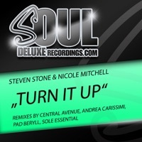 Thumbnail for the Steven Stone - Turn It Up (Remixes) link, provided by host site