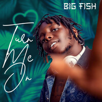 Thumbnail for the Big Fish - Turn Me On link, provided by host site