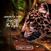 Thumbnail for the Jaques Le Noir - Turn Off the Light link, provided by host site