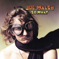 Thumbnail for the Joe Walsh - Turn To Stone link, provided by host site