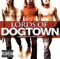 Thumbnail for the Joe Walsh - Turn To Stone link, provided by host site
