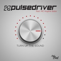 Thumbnail for the Pulsedriver - Turn up the Sound link, provided by host site