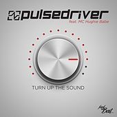 Thumbnail for the Pulsedriver - Turn up the Sound link, provided by host site
