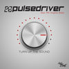 Thumbnail for the Pulsedriver - Turn up the Sound link, provided by host site