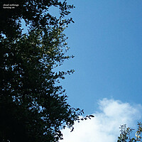 Thumbnail for the Cloud Nothings - Turning On link, provided by host site