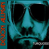 Thumbnail for the Devon Allman - Turquoise link, provided by host site