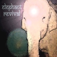Thumbnail for the Elephant Revival - Twelve link, provided by host site