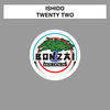 Thumbnail for the Ishido - Twentytwo link, provided by host site