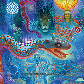 Image of Southwild linking to their artist page due to link from them being at the top of the main table on this page