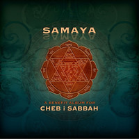 Thumbnail for the G.S. Sachdev - Twilight (Raga Yaman Kalyan) link, provided by host site