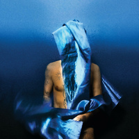 Thumbnail for the Devendra Banhart - Twin link, provided by host site
