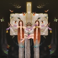 Thumbnail for the Julia Stone - Twin link, provided by host site