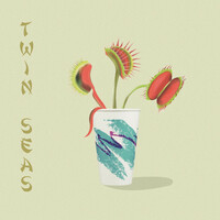 Thumbnail for the Twin Seas - Twin Seas link, provided by host site