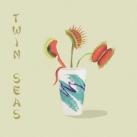 Thumbnail for the Twin Seas - Twin Seas link, provided by host site