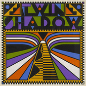 Thumbnail for the Twin Shadow - Twin Shadow link, provided by host site