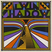 Thumbnail for the Twin Shadow - Twin Shadow link, provided by host site