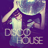 Thumbnail for the Lauer & Canard - Twisted Disco (Original Club Mix) link, provided by host site