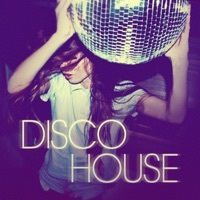 Thumbnail for the Lauer & Canard - Twisted Disco [Original Club Mix] link, provided by host site