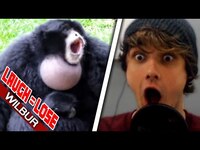 Thumbnail for the Wilbur Soot - Twitch Chat Has 4 Hours to Make Me Laugh (YLYL) link, provided by host site