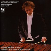Thumbnail for the Gordon Stout - Two Mexican Dances for Marimba: II. Allegro link, provided by host site