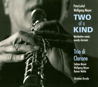 Thumbnail for the Peter Lehel - Two of a Kind link, provided by host site