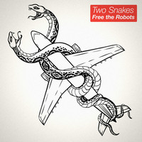 Thumbnail for the Free the Robots - Two Snakes link, provided by host site