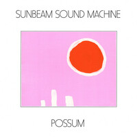 Thumbnail for the Sunbeam Sound Machine - Two Summers link, provided by host site