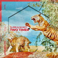 Thumbnail for the SUBB - Two Timer link, provided by host site