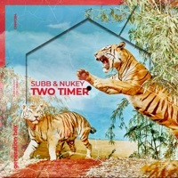 Thumbnail for the SUBB - Two Timer link, provided by host site