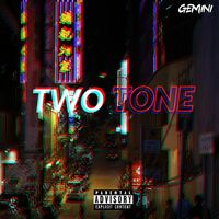 Thumbnail for the Gemini - Two Tone link, provided by host site