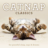 Thumbnail for the Budapest Strings - Two Waltzes in A Major, Op. 54: No. 1, Moderato link, provided by host site