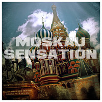 Thumbnail for the Paul Vinitsky - Two Worlds - Roman Sokolovsky Dub Mix link, provided by host site