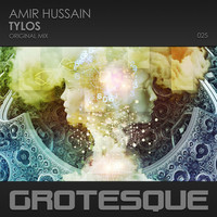 Thumbnail for the Amir Hussain - Tylos link, provided by host site