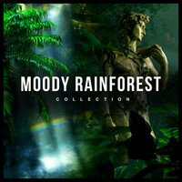 Image of Rainforest linking to their artist page due to link from them being at the top of the main table on this page