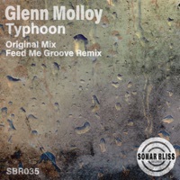 Thumbnail for the Glenn Molloy - Typhoon (Feed Me Groove Remix) link, provided by host site