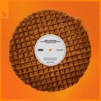 Thumbnail for the Armin van Buuren - Typically Dutch link, provided by host site